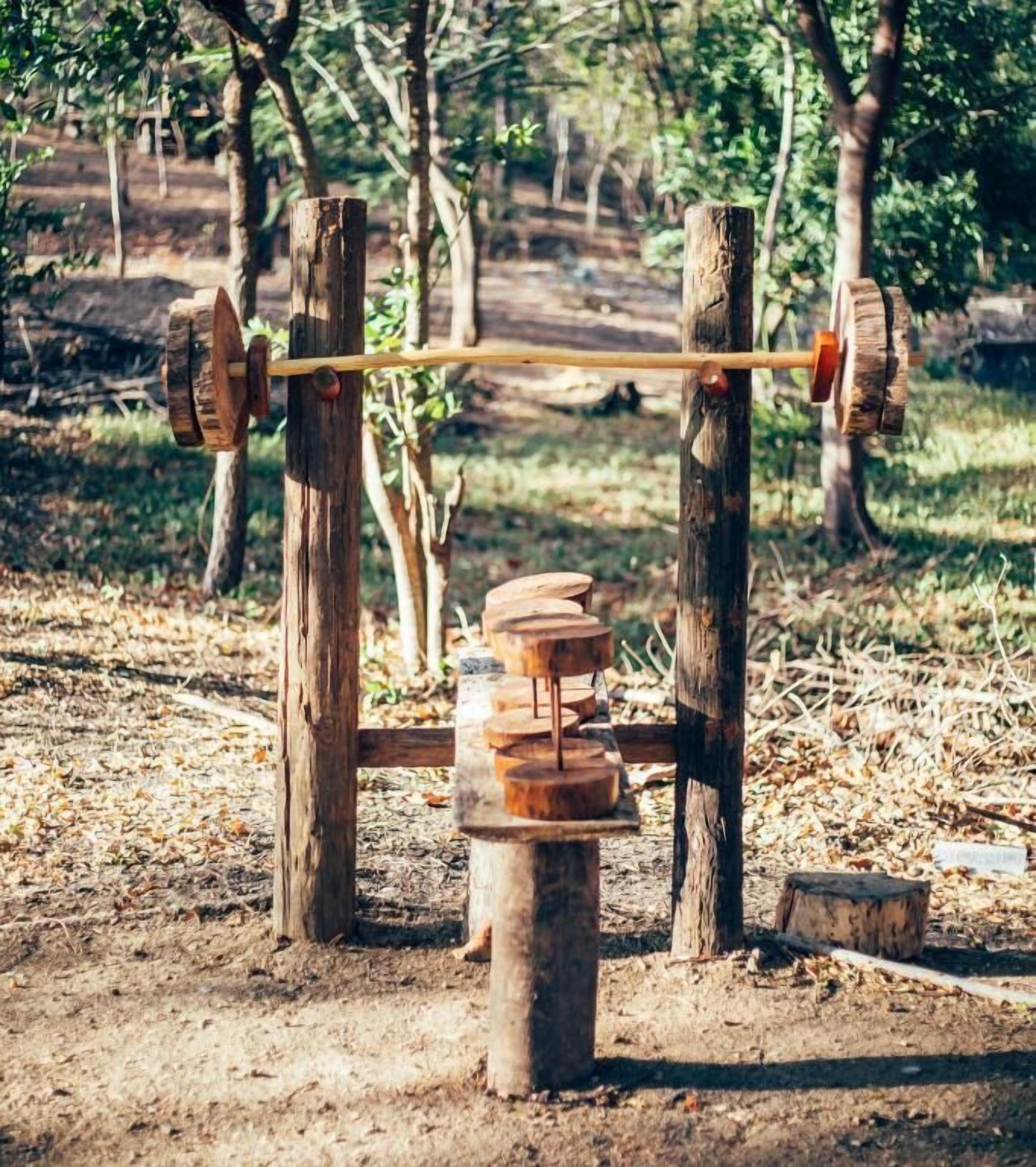 A rustic outdoor exercise setup with a wooden barbell and weights, surrounded by trees and natural ground cover.