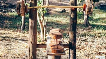 A rustic outdoor exercise setup with a wooden barbell and weights, surrounded by trees and natural ground cover.