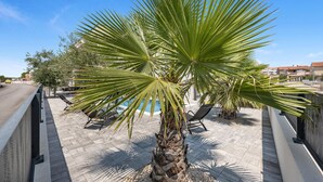 A palm tree in a courtyard with a pool and a paved walkway. - Stunning home in Vodice with WiFi (Vodice)