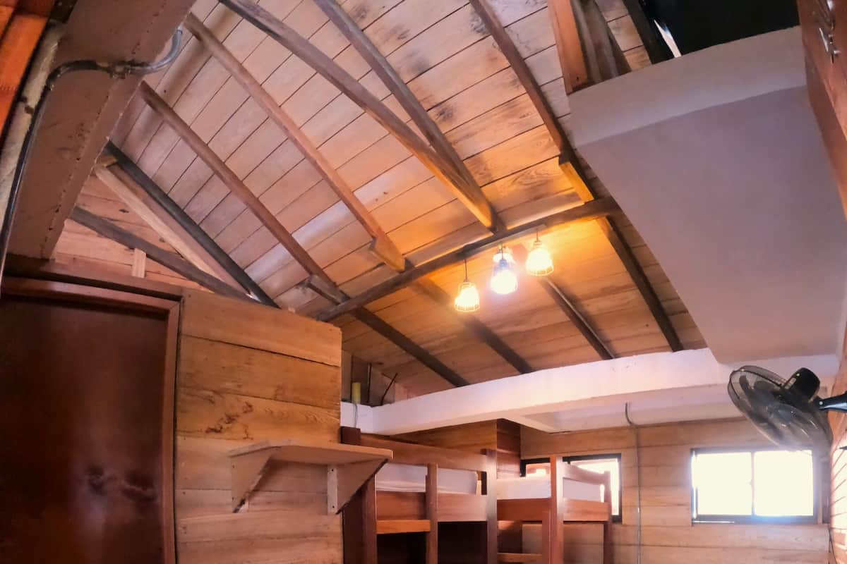 A rustic cabin interior with wooden walls, a bunk bed, a single bed, and a fan.