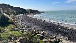 Ein felsiger Strand mit freiem Blick auf das Meer und einigen Menschen, die am Ufer entlanggehen.
