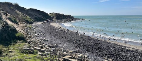 Playa en los alrededores