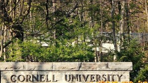Une plaque de pierre portant l’inscription « CORNELL UNIVERSITY », entourée d’un jardin où poussent des tulipes jaunes.