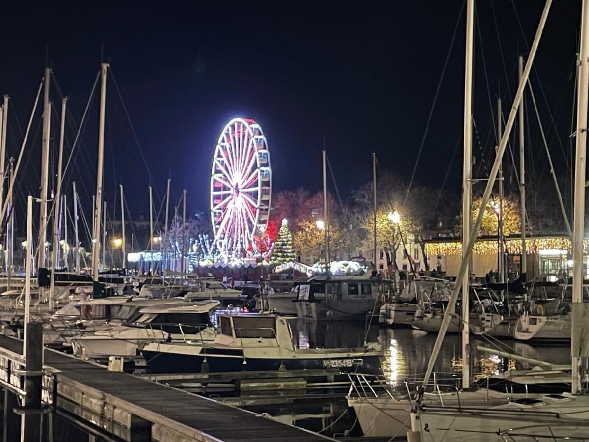 A marina at night with a large illuminated Ferris wheel in the background.