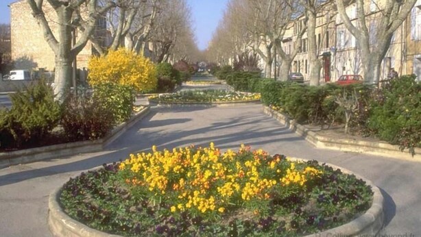 A tree-lined street with flower beds and buildings on either side. - House in Provence  (Pertuis)