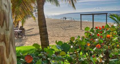 BOHO Beachfront Apartment w/ Stunning Ocean View