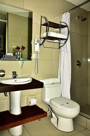 Tweepersoonskamer | Badkamer | Een douche, een haardroger, handdoeken, zeep