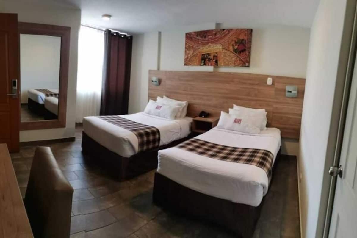 Habitación estándar con 2 camas individuales | Minibar, muebles diferentes, escritorio y wifi gratis