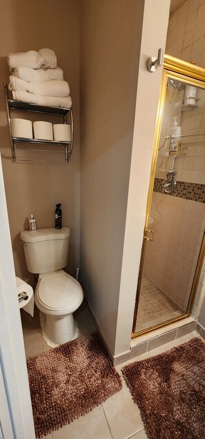 Hair dryer, towels, soap, shampoo