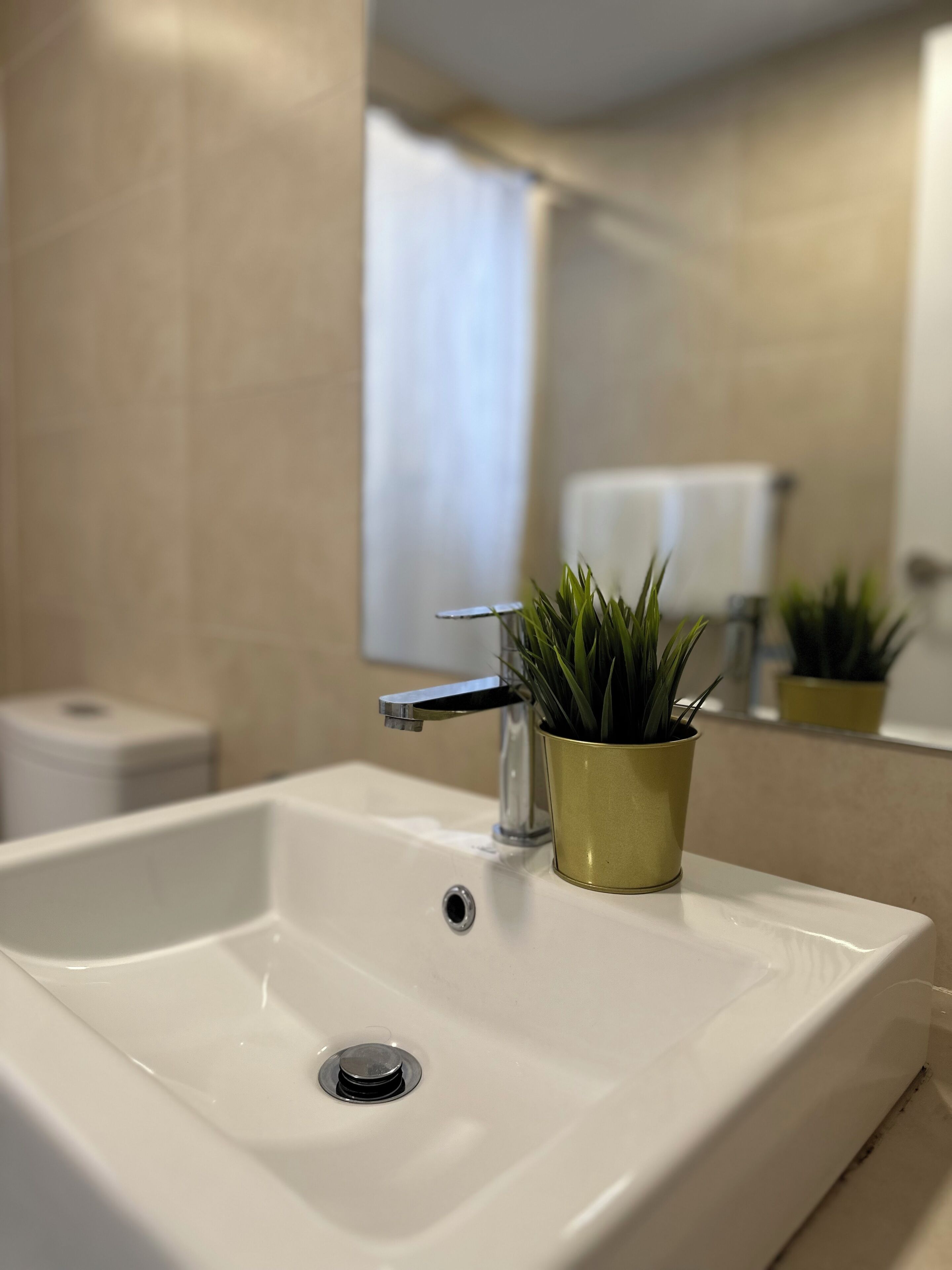 A bathroom with a white sink, a small potted plant, and a mirror reflecting a towel.