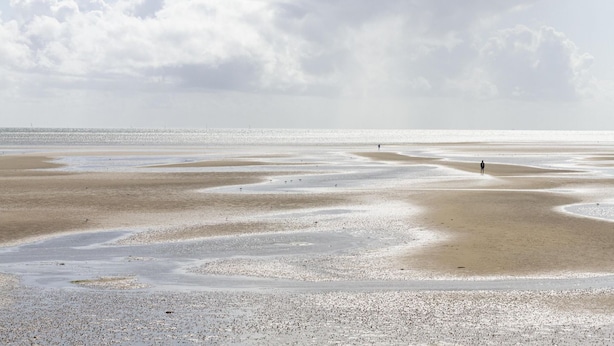 A beach with wet sand, a person walking, and a cloudy sky. - Haus Wernerwald - Haus Wernerwald Fewo 6 - Traumhafte Strandnahe Ferienwohnung mit Meerblick (Cuxhaven)