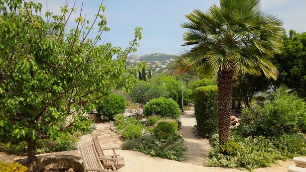 A garden with a palm tree, a bench, and various shrubs. - Villa LOS JAZMINES at Monte Pego (Pego)