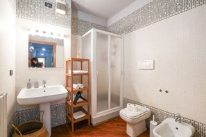 Shower, hair dryer, bidet, towels