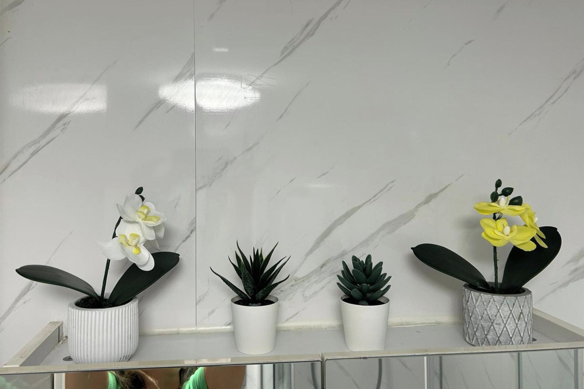 A marble wall with four potted plants arranged in a row.