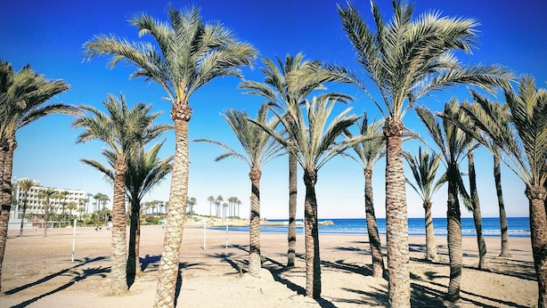 Een strand met palmbomen en een helderblauwe lucht.