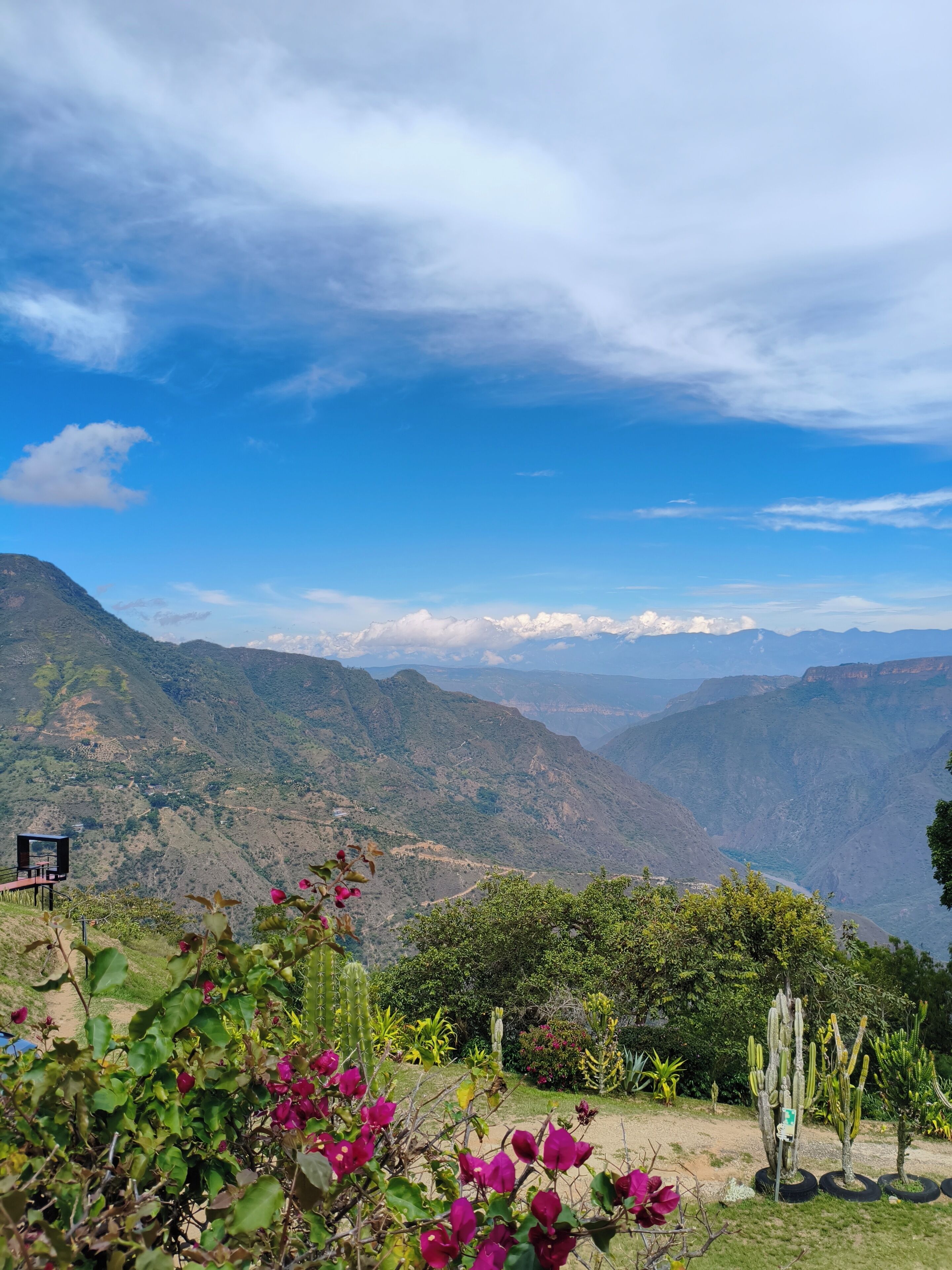 A mountainous landscape with a clear sky, a cactus garden, and a small structure.