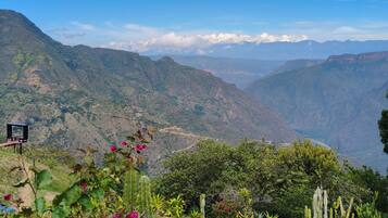A mountainous landscape with a clear sky, a cactus garden, and a small structure.