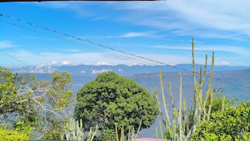 Family Cabin, Mountain View, Mountainside | View from room