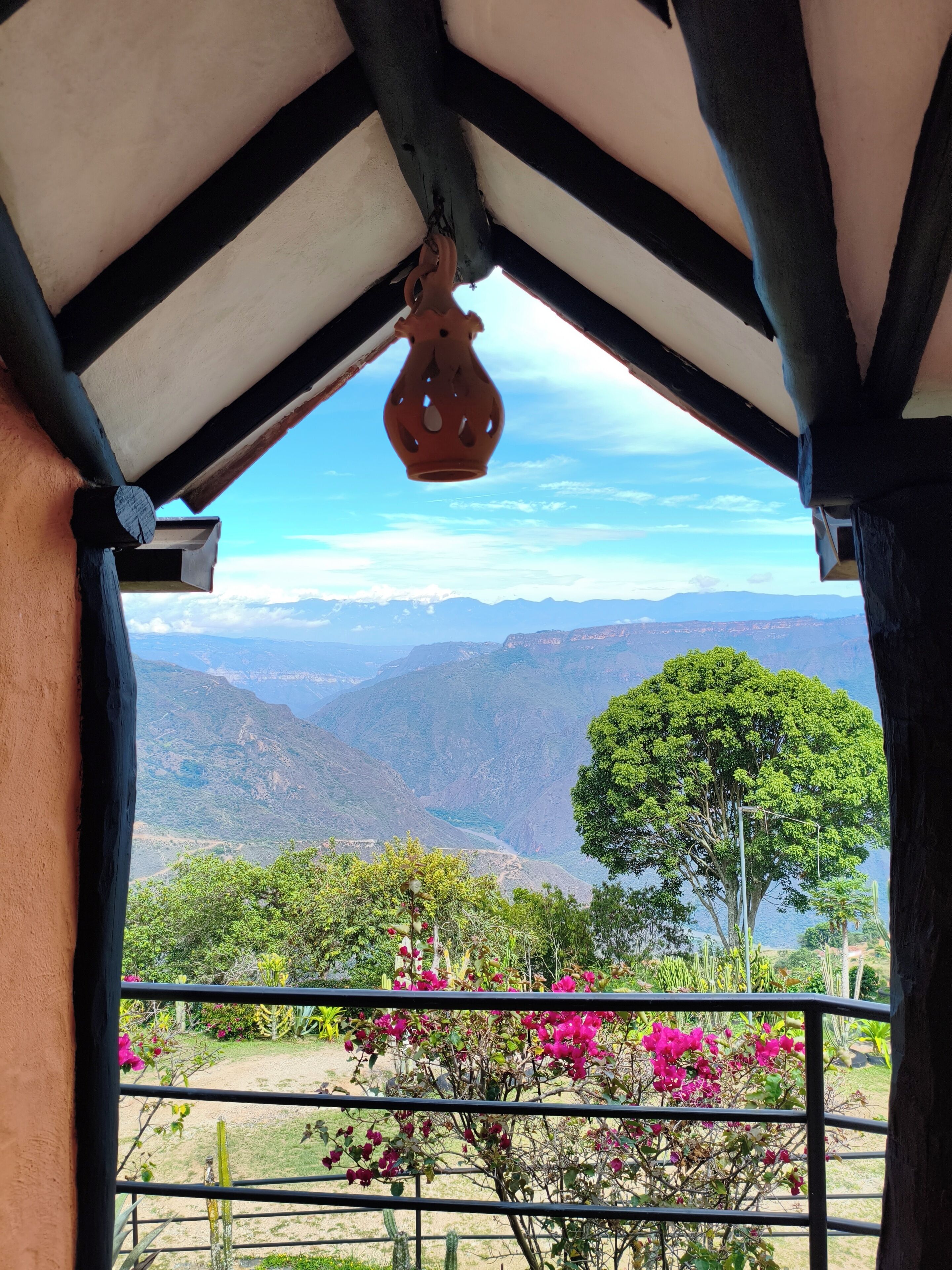 A balcony with a view of a mountainous landscape, a hanging pot, and a cactus plant.