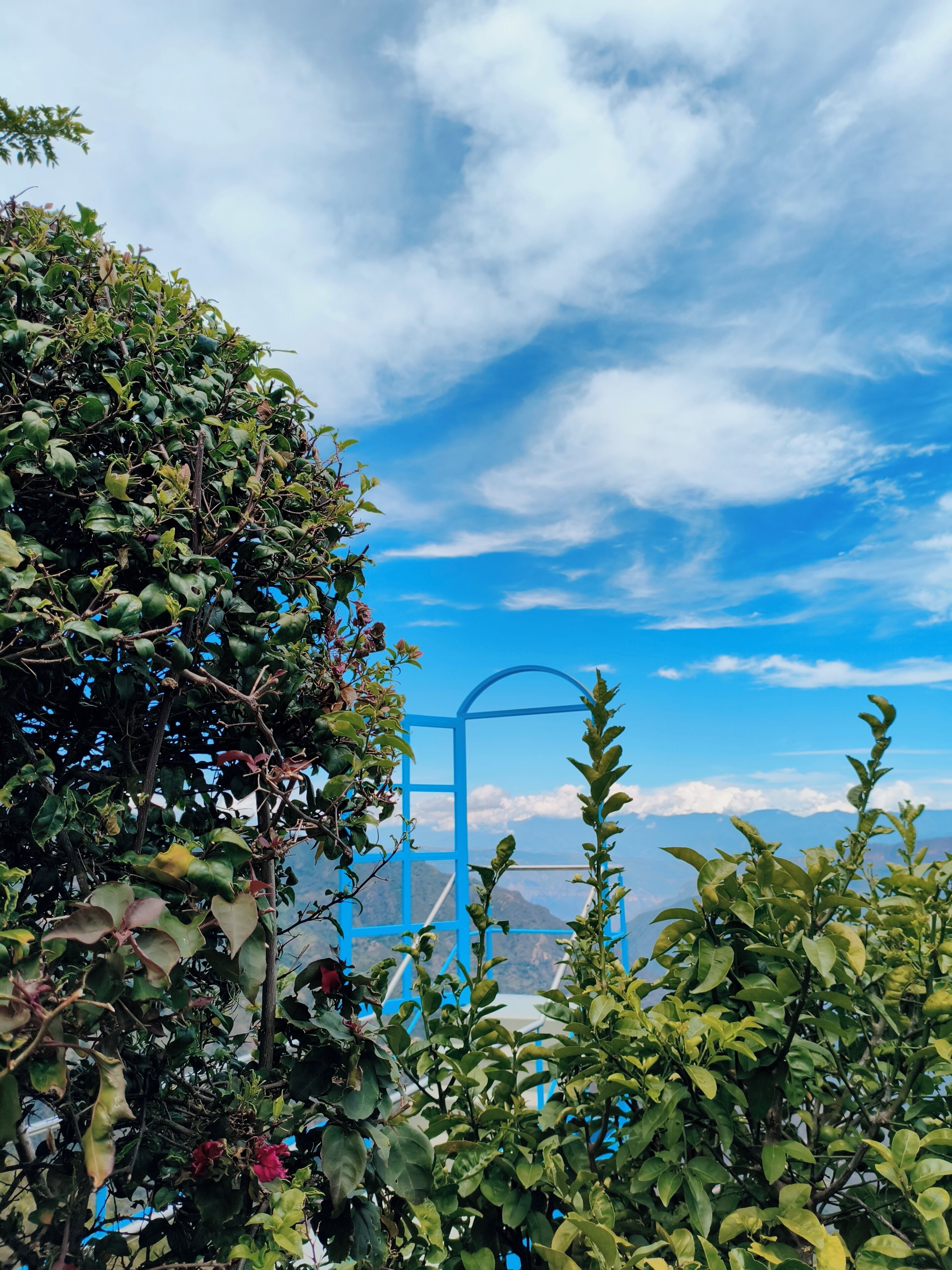 Una estructura metálica azul en medio de abundante vegetación, con cielo despejado y montañas a lo lejos.