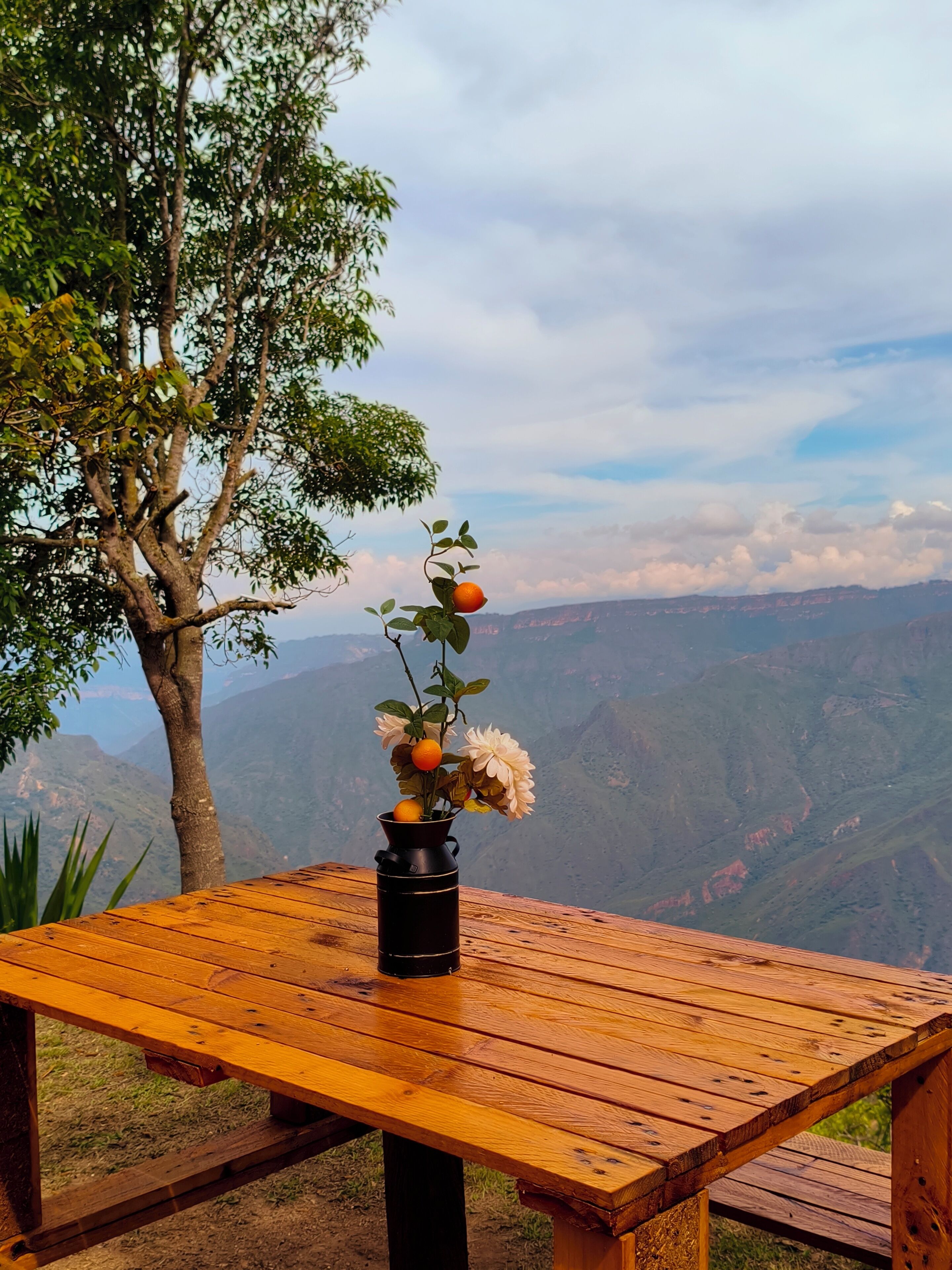 Een houten tafel met een zwarte vaas vol bloemen en sinaasappels, voor een bergachtig landschap.