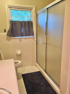 Une petite salle de bain avec des toilettes, une fenêtre avec des rideaux, une douche avec une porte en verre et un tapis foncé sur le sol.