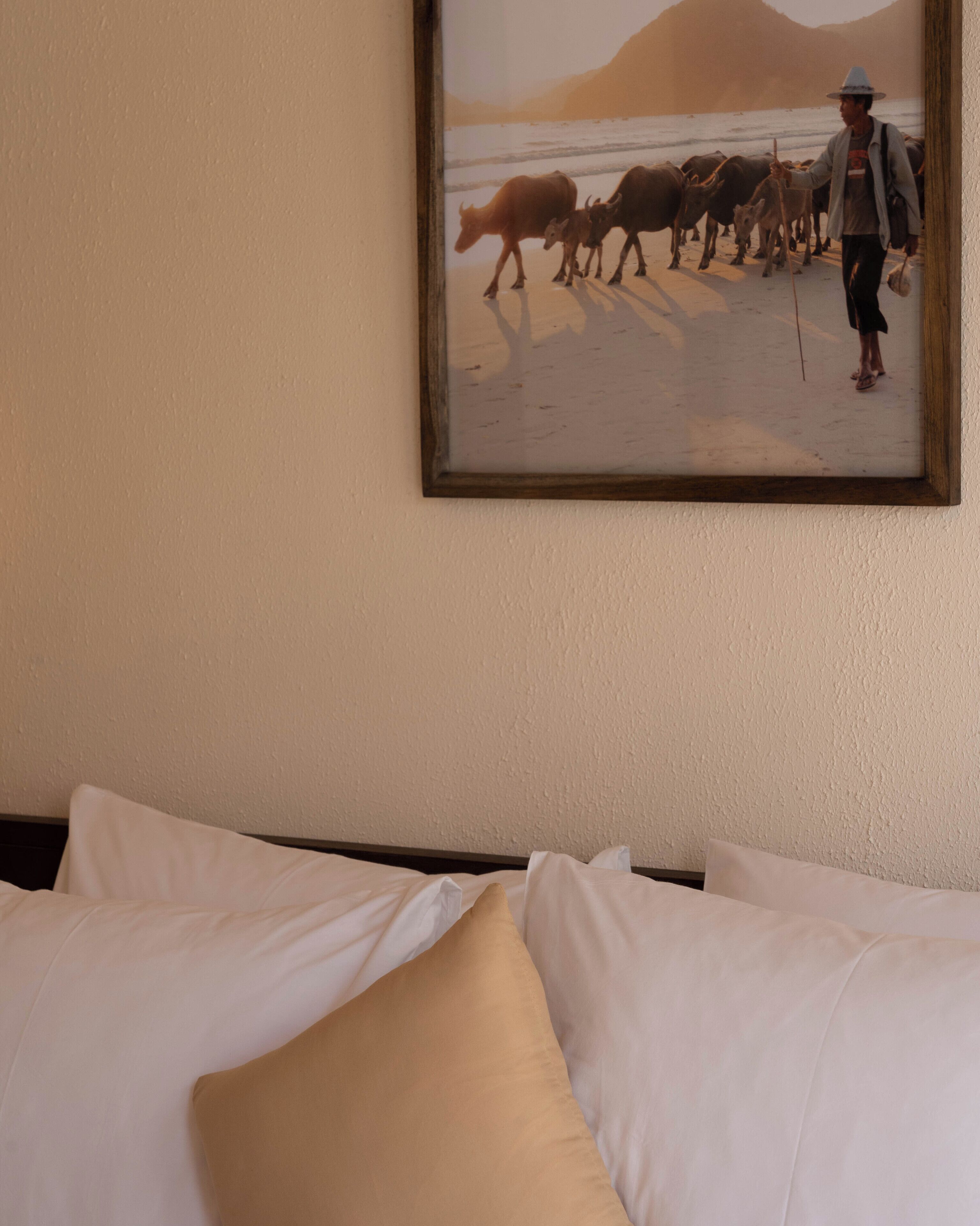 A hotel room with a bed, white pillows, and a framed picture of a person herding cattle on a beach.