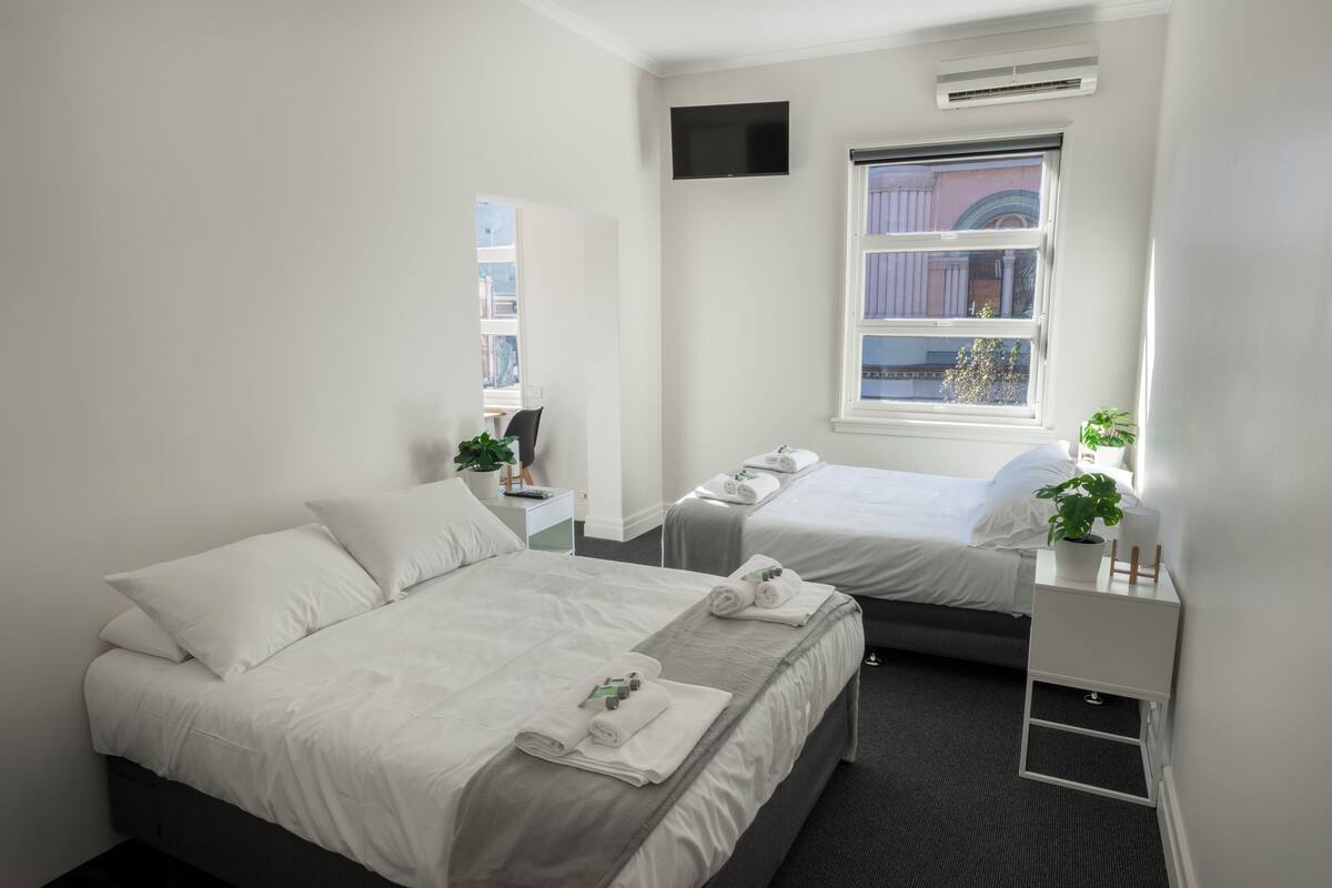 A hotel room with two beds, a TV, a window with a view, and a small bedside table with a plant.