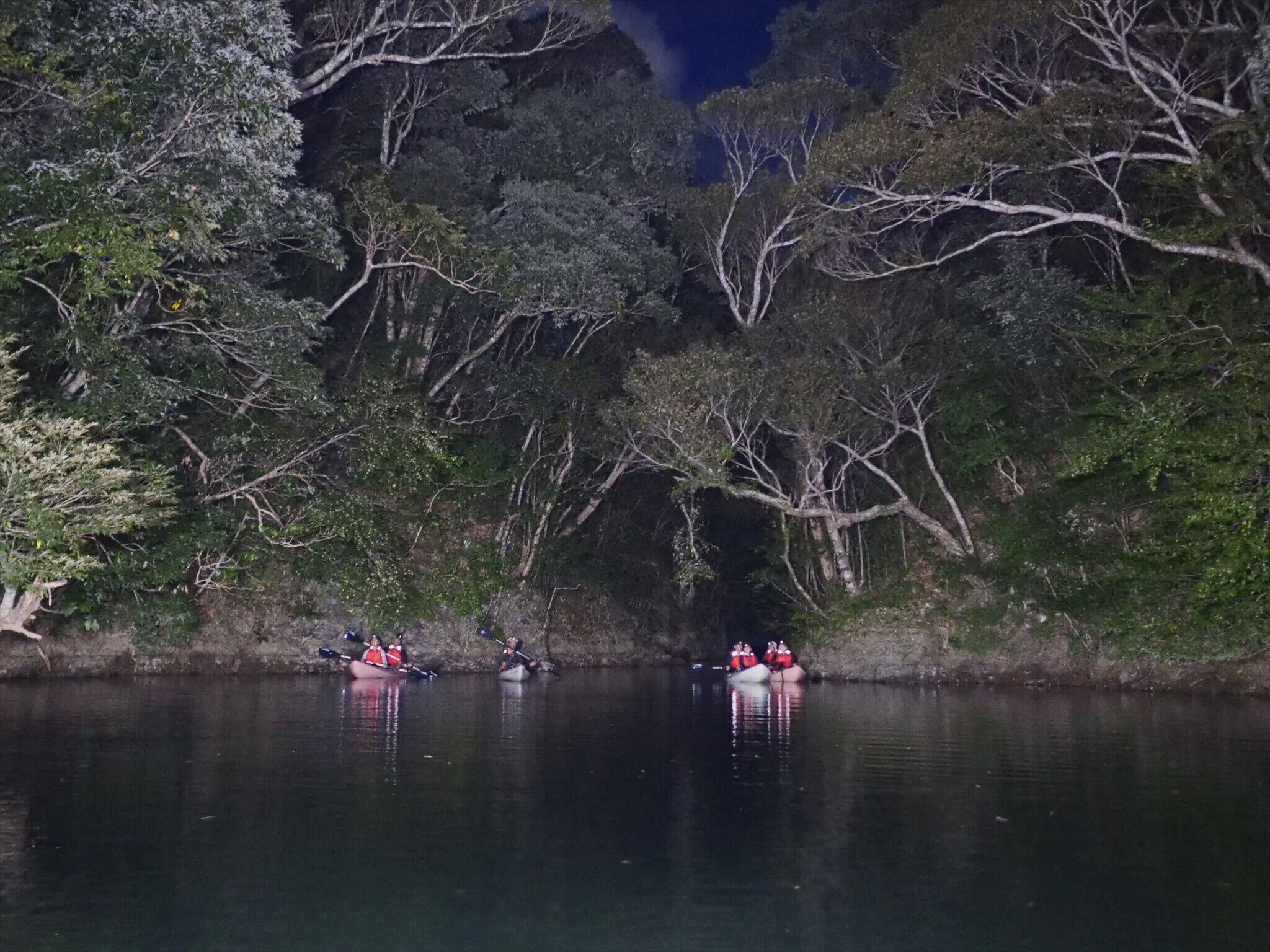 A group of people kayaking on a calm river surrounded by dense forest.