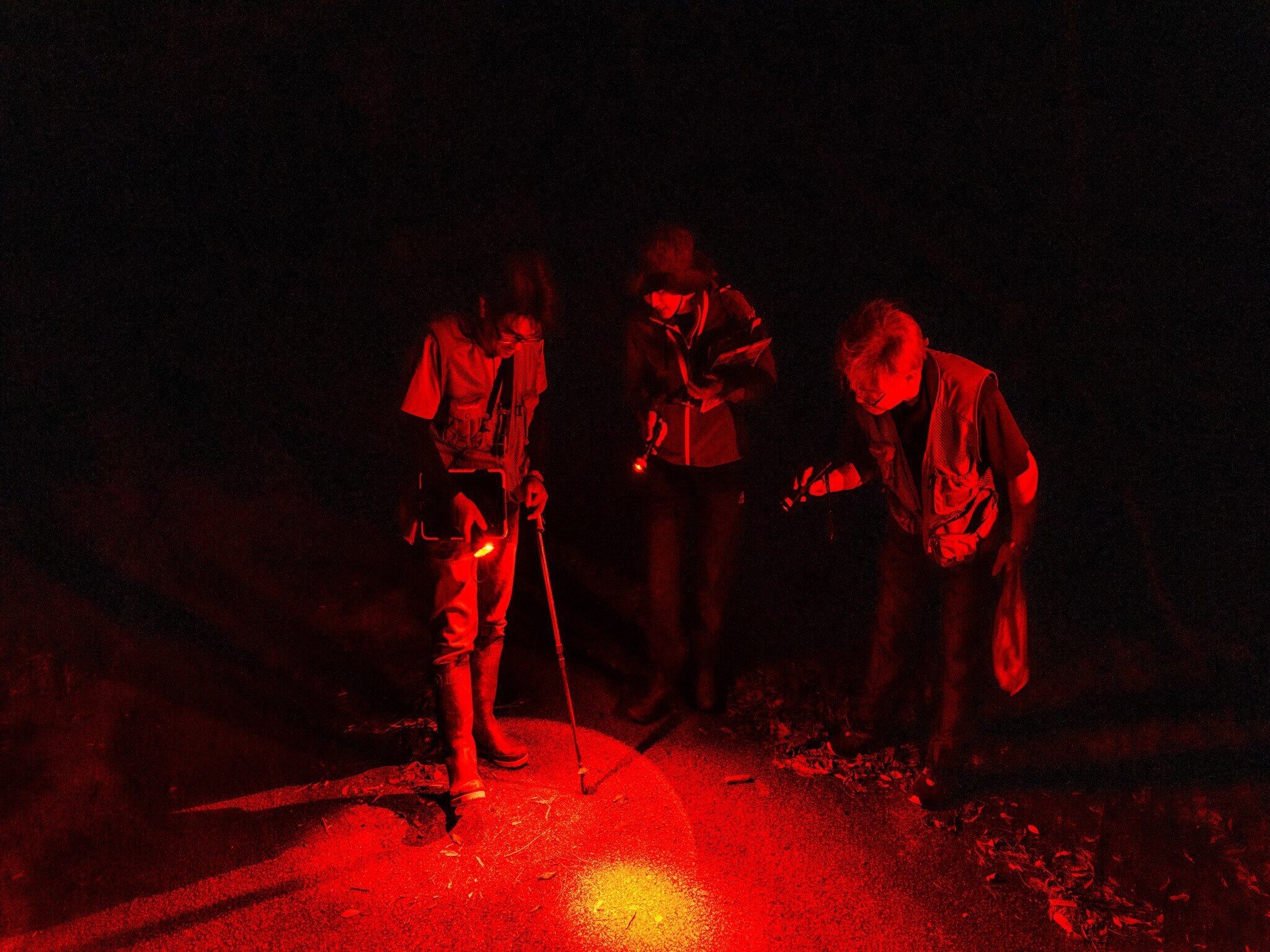 Trois personnes vêtues de vêtements sombres, dont l’une tient une lampe de poche, se tiennent sur une route, de nuit.