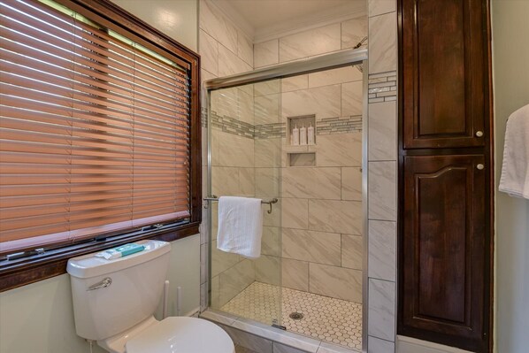Un baño con inodoro, ducha con mampara de vidrio y puerta de madera.