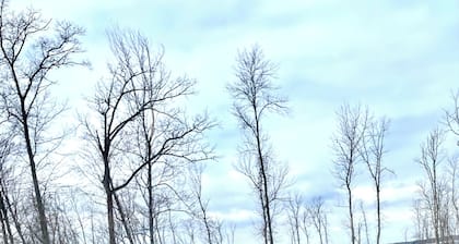 NEW - The Boardwalk on North Long Lake Brainerd with Hot Tub, Pet-Friendly