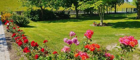 المنطقة المحيطة بالمنشأة