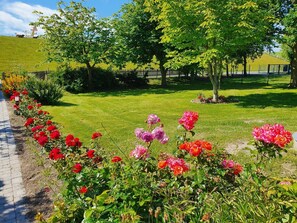 Ein Garten mit verschiedenen Blumen und Bäumen, ein gepflasterter Weg und ein Zaun im Hintergrund.