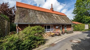 Eksteriør