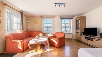 TV, lettore DVD, tavolo da ping pong, impianto stereo