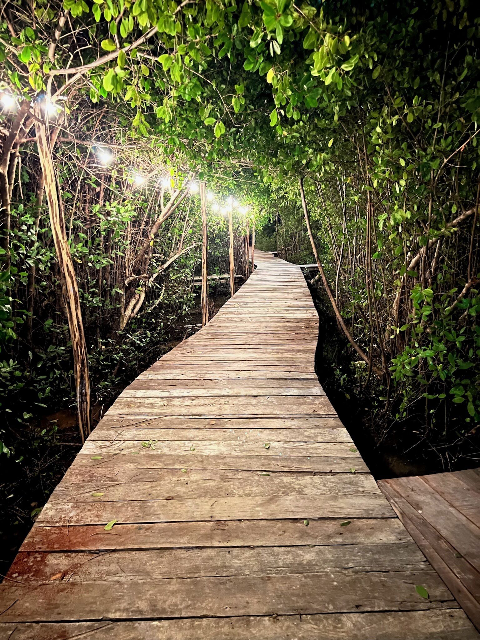 Photo - Hotel Caimán Hábitat Tulum Beach