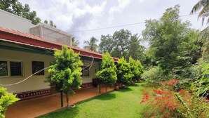 Un jardin avec un sentier, de l’herbe verte et différentes sortes de plantes.
