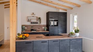 Kühlschrank, Ofen, Herdplatte, Geschirrspüler