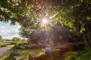 Jardines del alojamiento