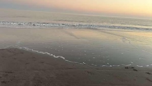A beach with a calm sea, sandy shore, and footprints. - Steps to Beach | Pool | Pet Friendly | Sleeps 8 | Hilton Head (Hilton Head Island)