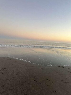 Beach nearby - Steps to Beach-Hilton Head Condo-Pet Friendly (Hilton Head Island)