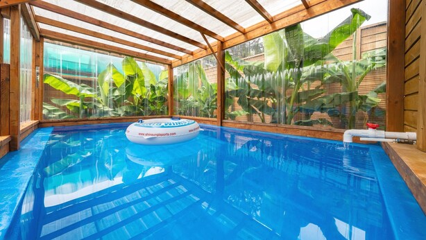 An indoor swimming pool with clear glass walls, wooden beams, and tropical plants. - Boryeong Hiddenvillage Dokchae Poolvilla (Boryeong)