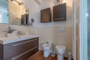 Shower, hair dryer, bidet, towels