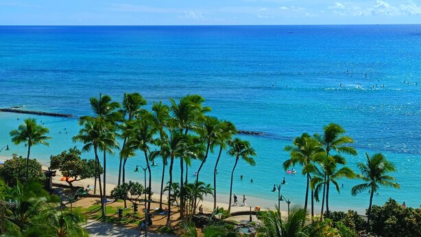 Una playa con palmeras y agua azul cristalina.