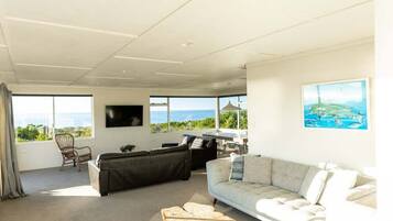 TV, fireplace, table tennis