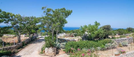 Un sendero que lleva a un muro de piedra con plantas en macetas y vista al mar.