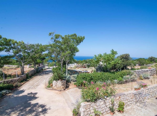 A pathway leading to a stone wall with potted plants and a view of the sea.