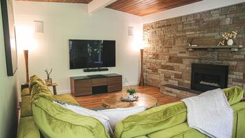 Smart TV, fireplace, books, music library