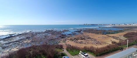 Sur la plage